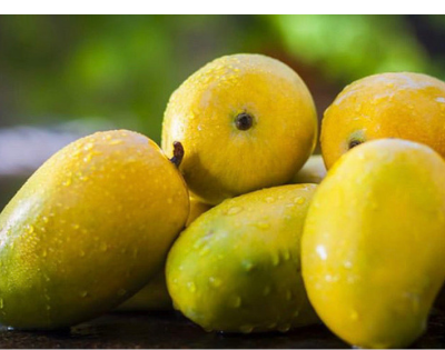 Dussehri Mango (9-12 pcs) 3kgs
