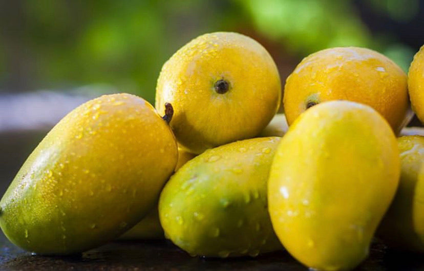 Dussehri Mango (9-12 pcs) 3kgs