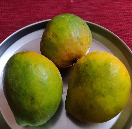 Payri/Raspuri  Mangoes from Sindhudurg (12 pcs)